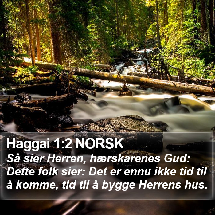 Haggai 1:2 NORSK Bible Study