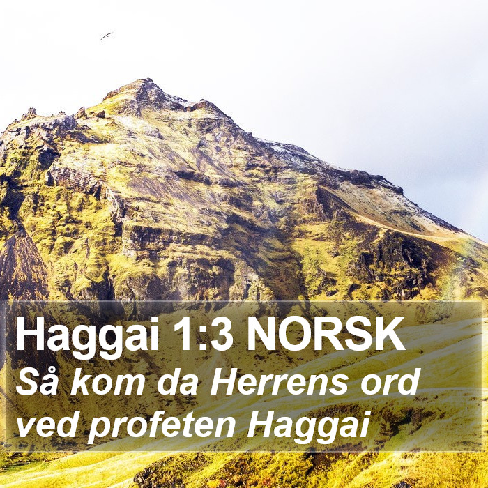 Haggai 1:3 NORSK Bible Study