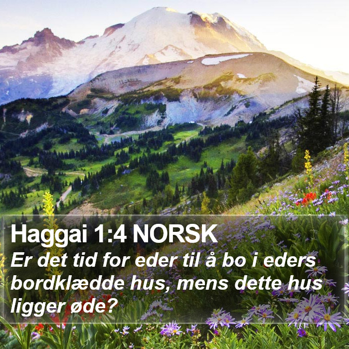 Haggai 1:4 NORSK Bible Study