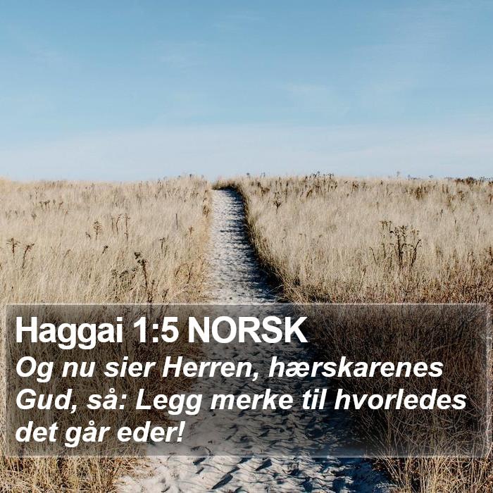 Haggai 1:5 NORSK Bible Study