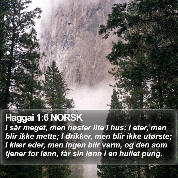 Haggai 1:6 NORSK Bible Study