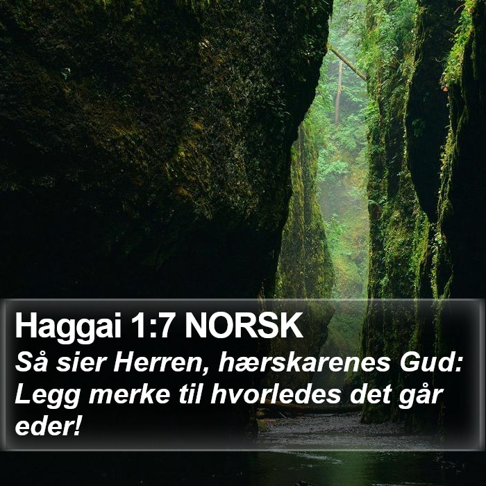 Haggai 1:7 NORSK Bible Study