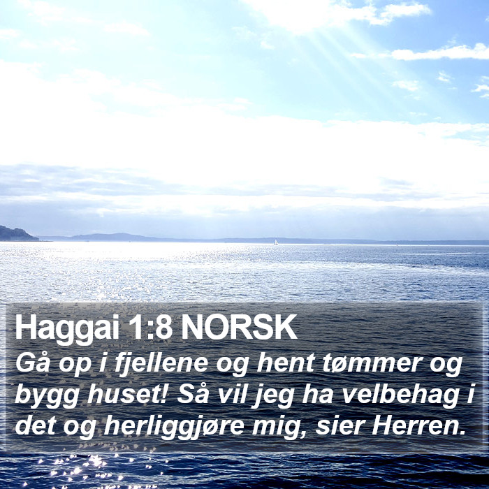 Haggai 1:8 NORSK Bible Study