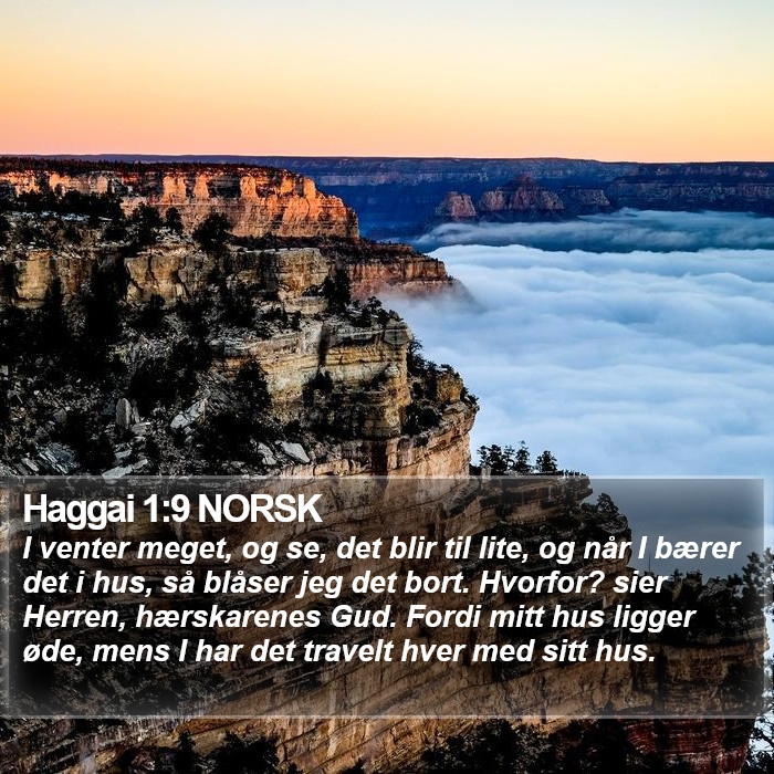 Haggai 1:9 NORSK Bible Study