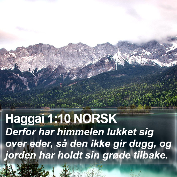 Haggai 1:10 NORSK Bible Study