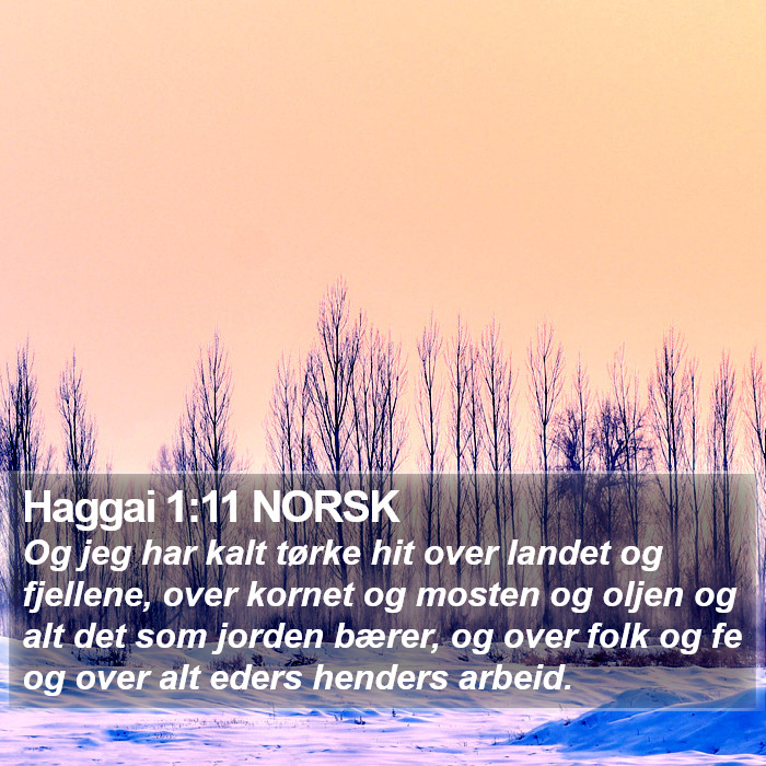 Haggai 1:11 NORSK Bible Study