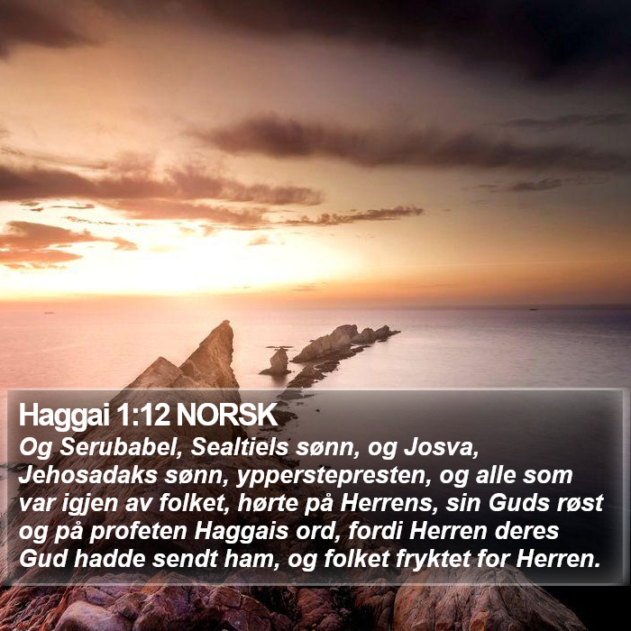 Haggai 1:12 NORSK Bible Study