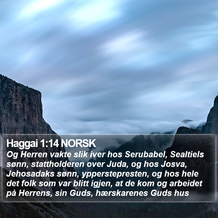 Haggai 1:14 NORSK Bible Study