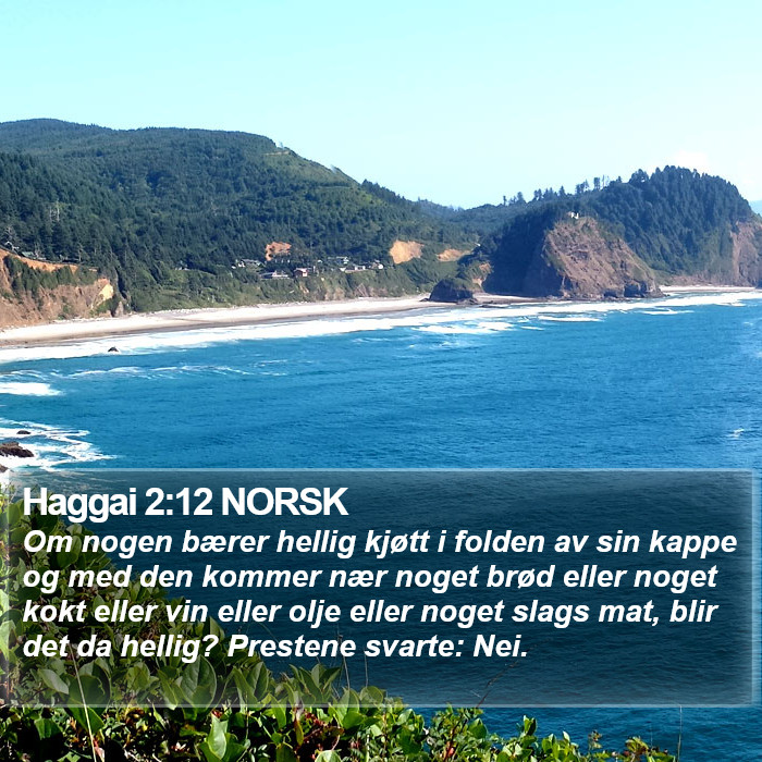 Haggai 2:12 NORSK Bible Study