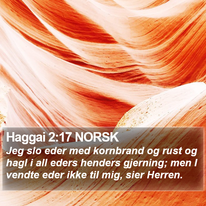 Haggai 2:17 NORSK Bible Study