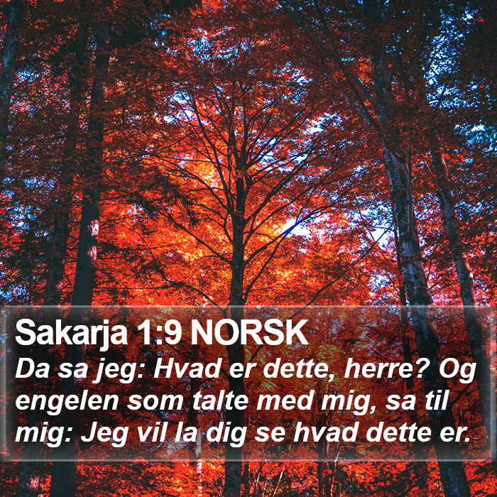 Sakarja 1:9 NORSK Bible Study