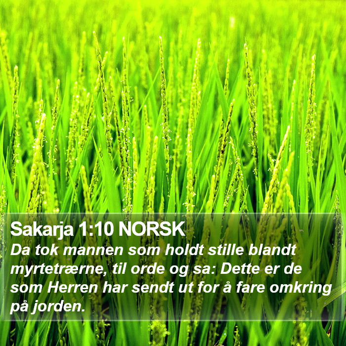 Sakarja 1:10 NORSK Bible Study