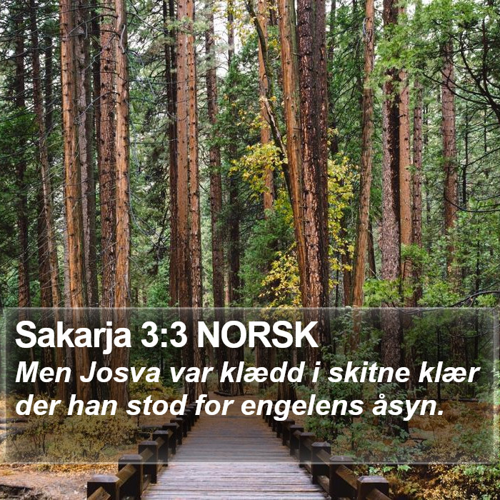 Sakarja 3:3 NORSK Bible Study