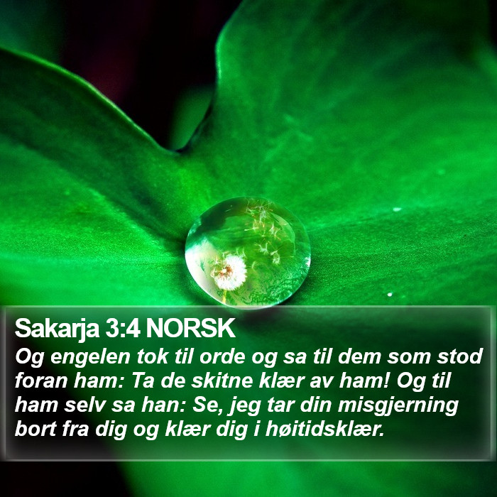 Sakarja 3:4 NORSK Bible Study