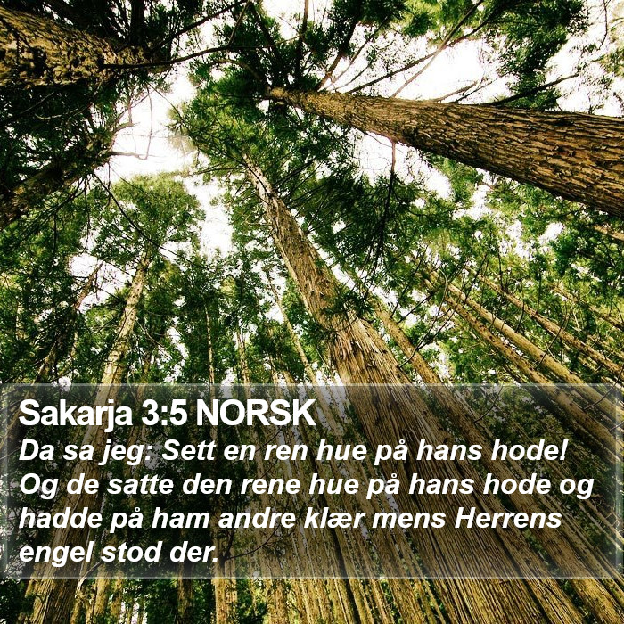 Sakarja 3:5 NORSK Bible Study