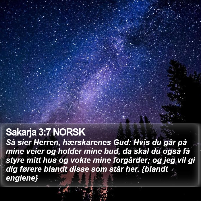 Sakarja 3:7 NORSK Bible Study