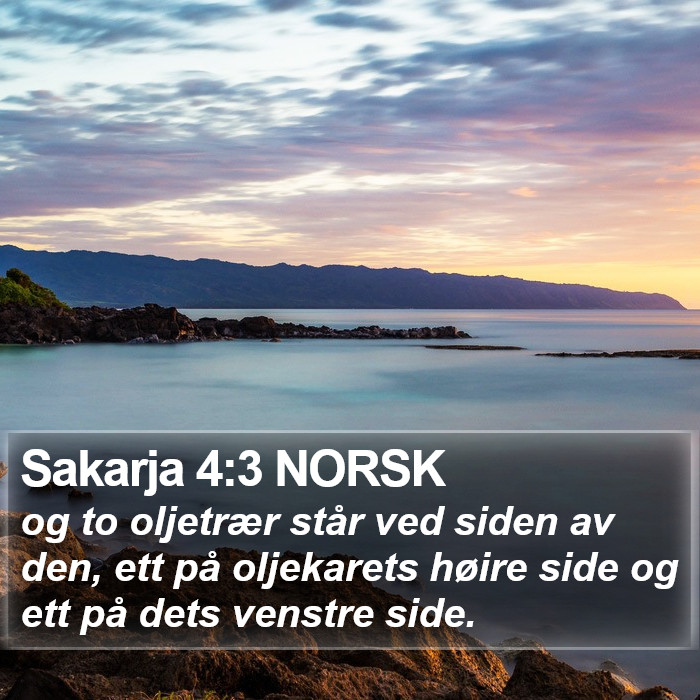 Sakarja 4:3 NORSK Bible Study