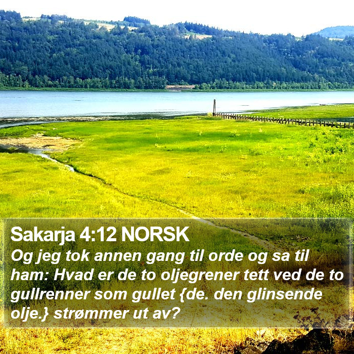 Sakarja 4:12 NORSK Bible Study