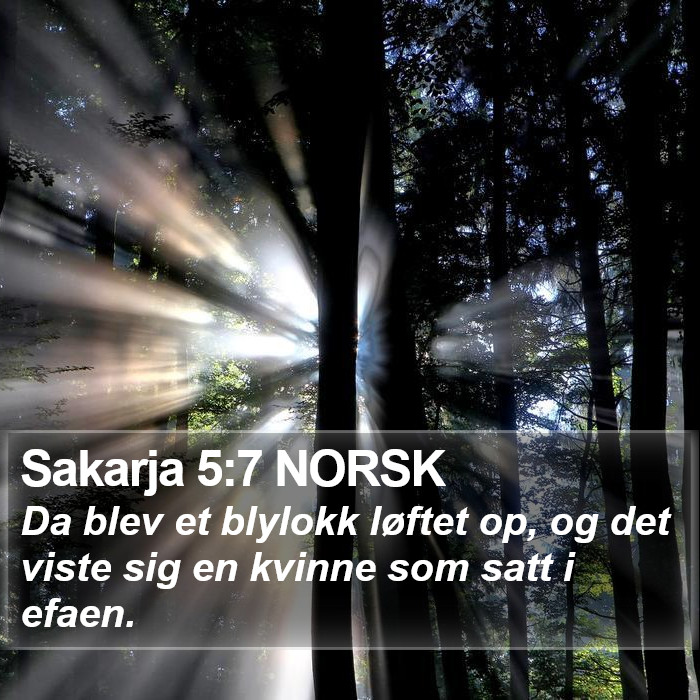 Sakarja 5:7 NORSK Bible Study