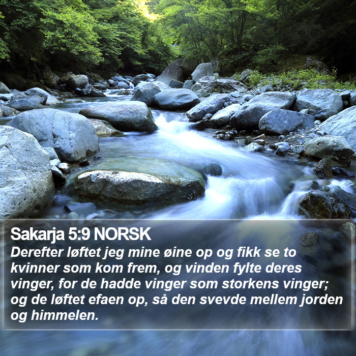 Sakarja 5:9 NORSK Bible Study