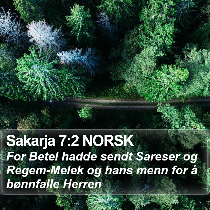 Sakarja 7:2 NORSK Bible Study