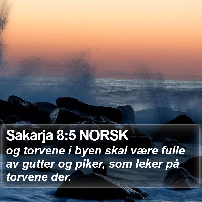 Sakarja 8:5 NORSK Bible Study