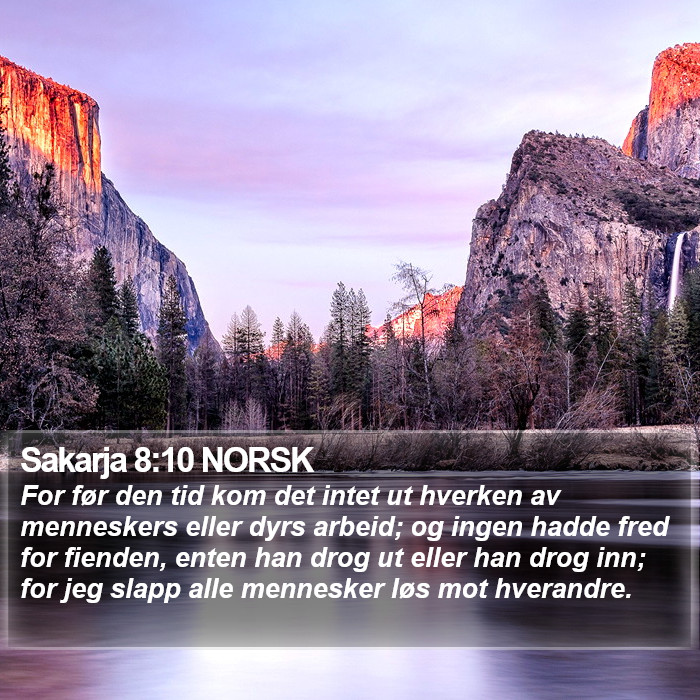 Sakarja 8:10 NORSK Bible Study