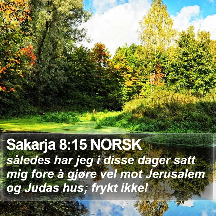 Sakarja 8:15 NORSK Bible Study