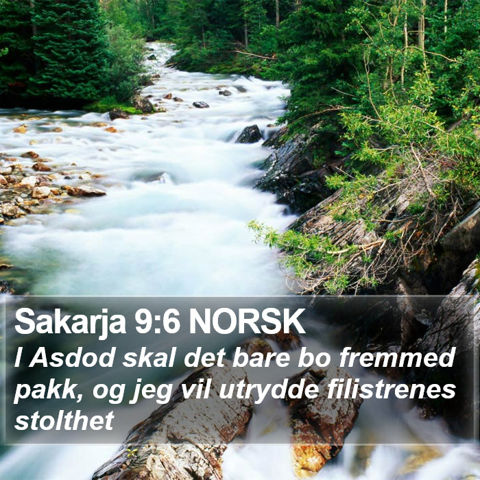 Sakarja 9:6 NORSK Bible Study