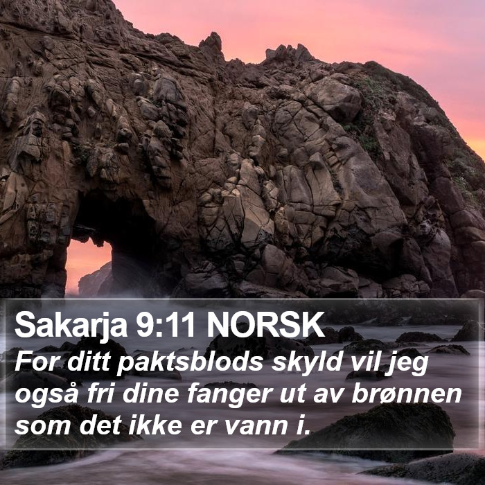 Sakarja 9:11 NORSK Bible Study