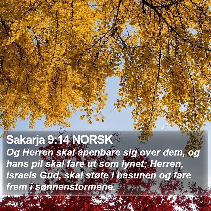 Sakarja 9:14 NORSK Bible Study