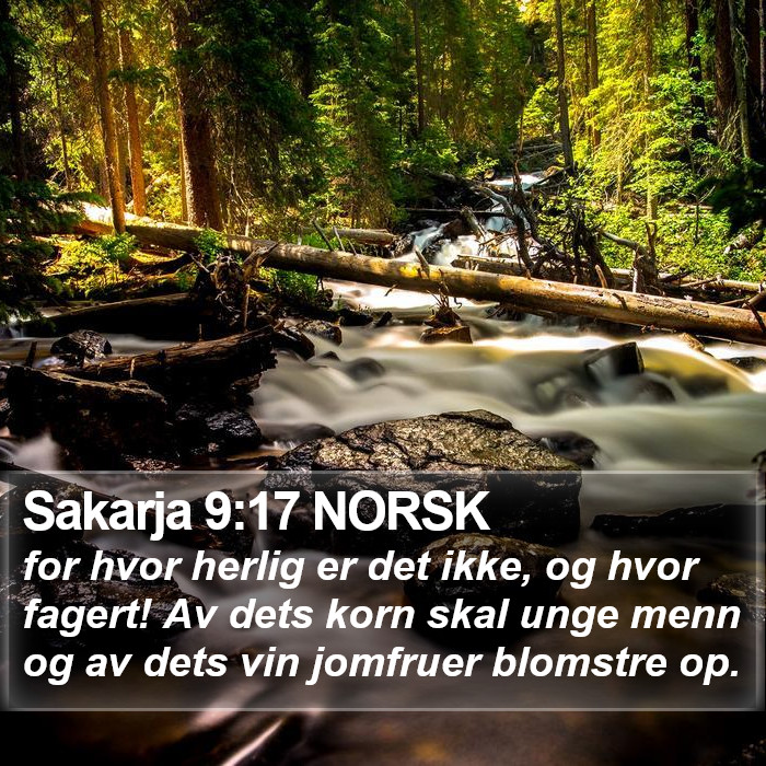 Sakarja 9:17 NORSK Bible Study