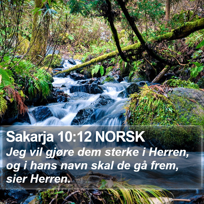 Sakarja 10:12 NORSK Bible Study