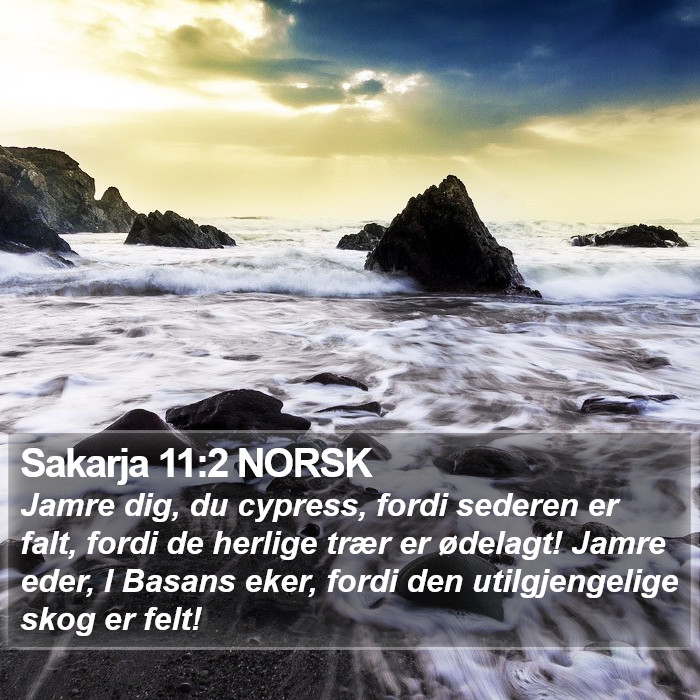 Sakarja 11:2 NORSK Bible Study
