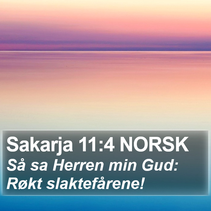 Sakarja 11:4 NORSK Bible Study