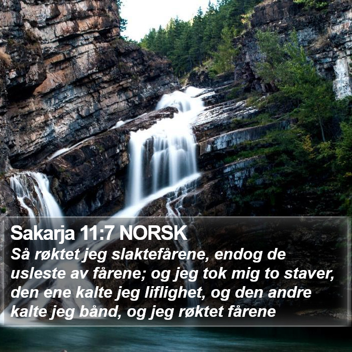 Sakarja 11:7 NORSK Bible Study