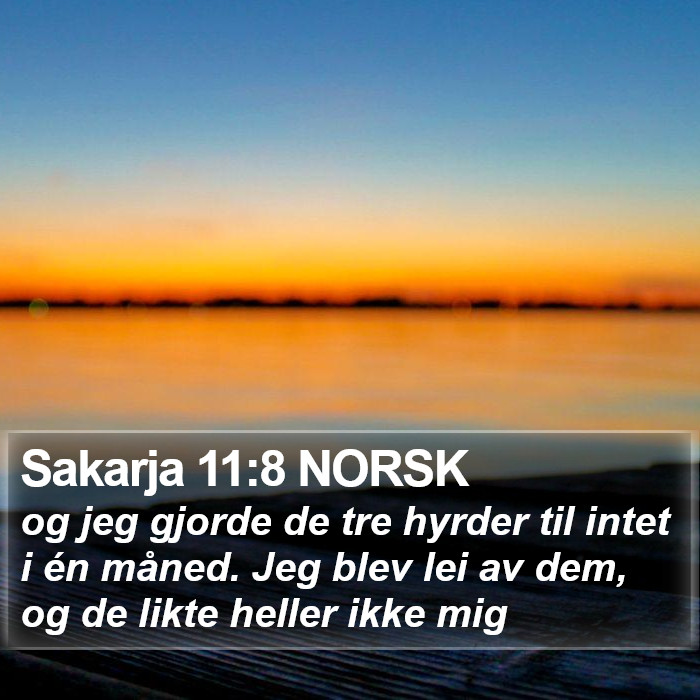 Sakarja 11:8 NORSK Bible Study