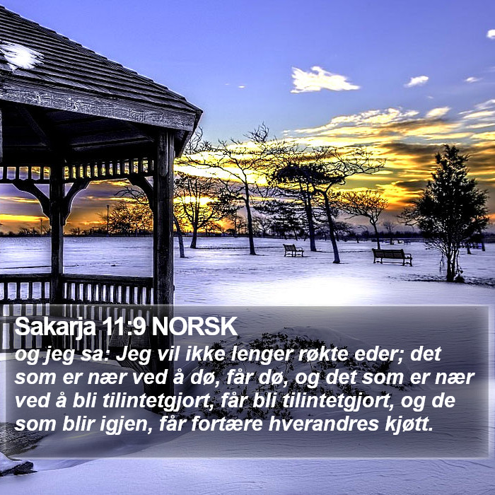 Sakarja 11:9 NORSK Bible Study
