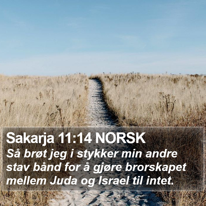 Sakarja 11:14 NORSK Bible Study