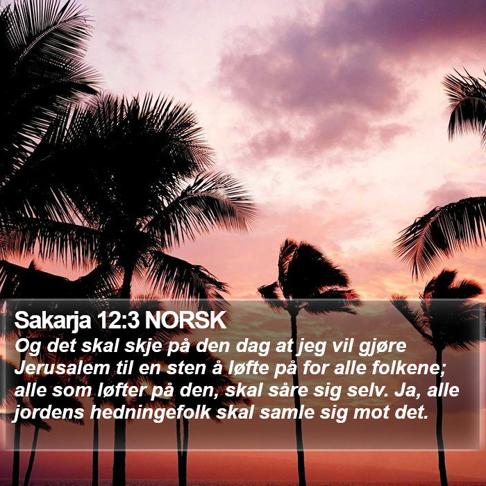 Sakarja 12:3 NORSK Bible Study