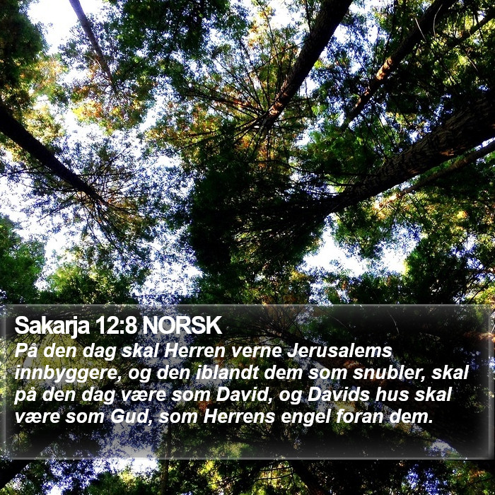 Sakarja 12:8 NORSK Bible Study