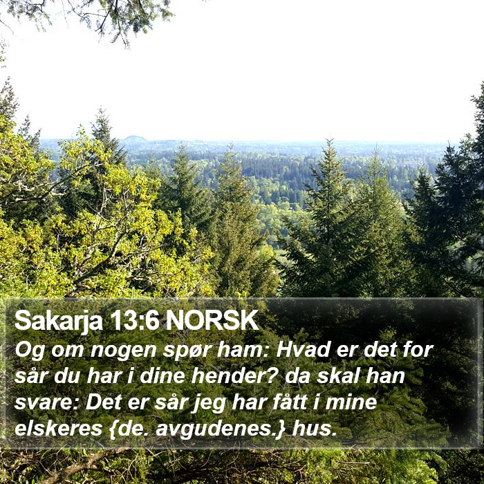 Sakarja 13:6 NORSK Bible Study