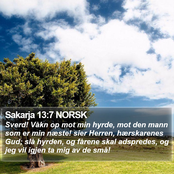 Sakarja 13:7 NORSK Bible Study