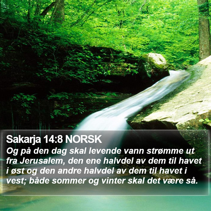 Sakarja 14:8 NORSK Bible Study