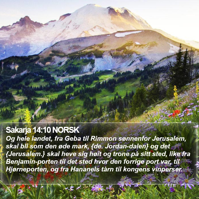 Sakarja 14:10 NORSK Bible Study