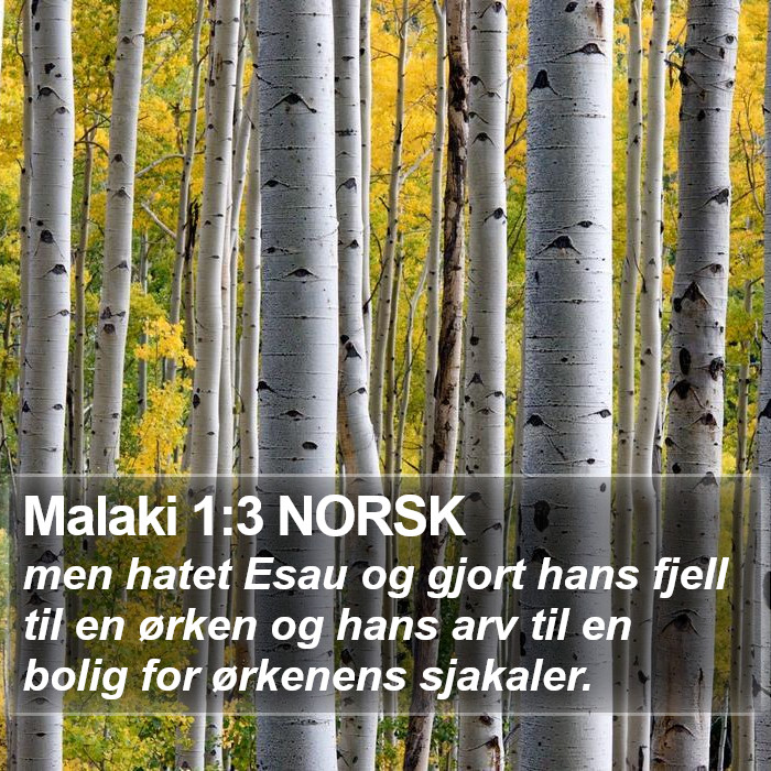 Malaki 1:3 NORSK Bible Study