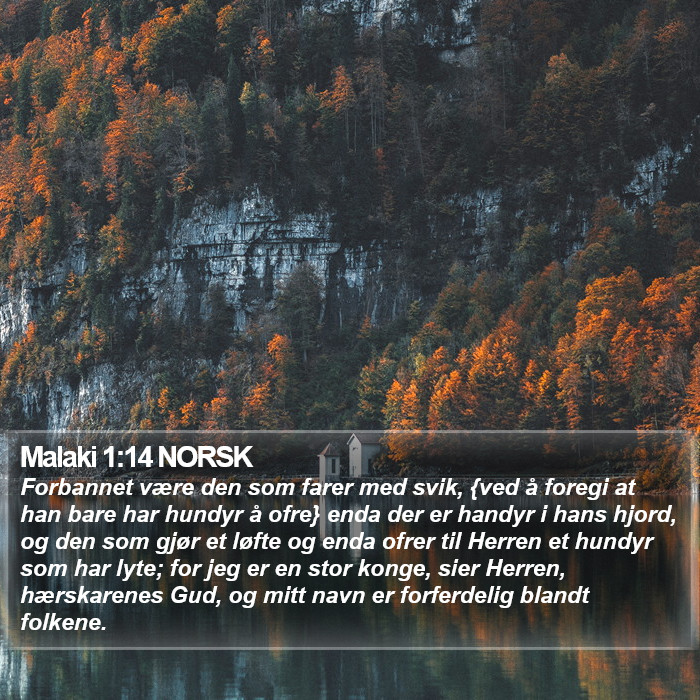 Malaki 1:14 NORSK Bible Study