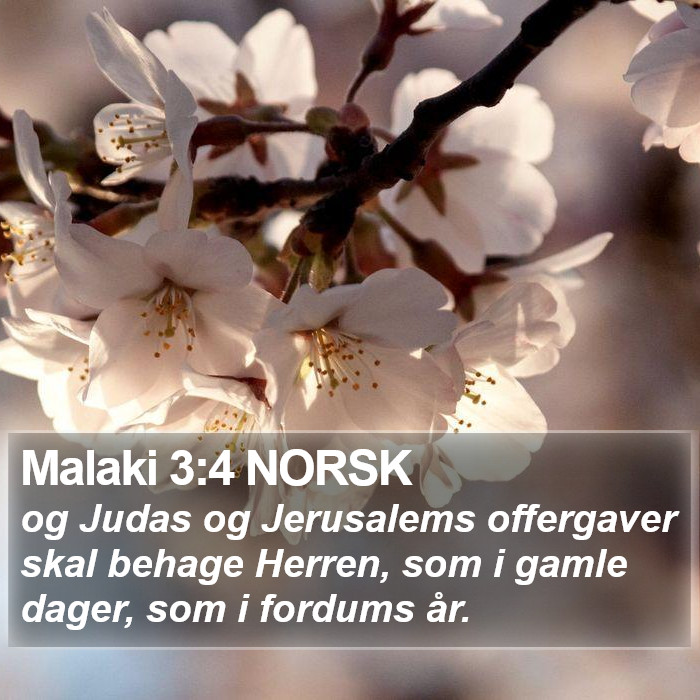 Malaki 3:4 NORSK Bible Study