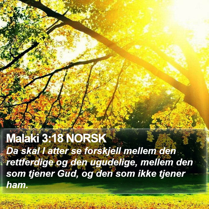 Malaki 3:18 NORSK Bible Study