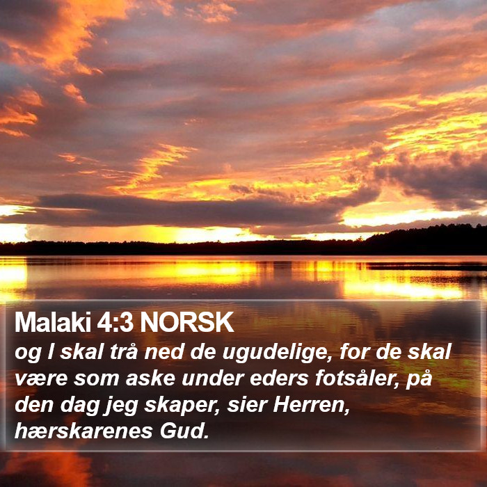 Malaki 4:3 NORSK Bible Study